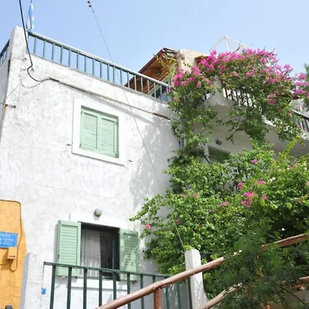 Collection Apartman