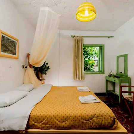 Collection Apartman
